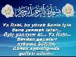 Dualar 2