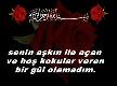 Dualar 3