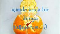 A��k Mandalina