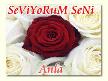 seviyorum anla