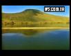 nilgül - alem
