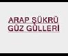 Arap_şükrü_güz gülleri