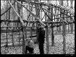 git dedigim yalan  video izle