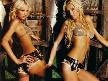 Paris Hilton En Sexi Halleri