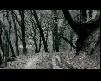 Feridun Düzağaç - Söz Ver