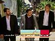 mürsel dayak yerse (Geniş aile)