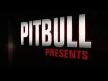Pitbull Vs Enur Vs Alex Gaudino
