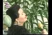 Bülent Ersoy Show - Pencereden kar geliyor