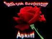 askima video izle