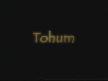 Tohum mucizesi17www bitkidunyasi 