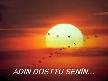 adın dosttu senin