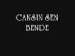 Cansın sen bende