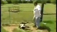 Korkunca Bay�lan Ke�iler