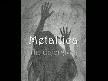 Metallica-unforgiven