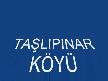 Ta�l�p�nar k�y� 