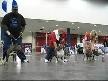 pitbullx 3 izle