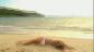 bar rafaeli swimsuit 2009