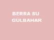 berra_su