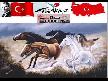 güler ışık - beyaz gençlik