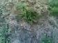 SUNGURLU AKPINAR K�Y� 277 GOLD