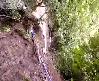 Vatoz b�yle yakaland�