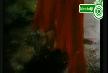 Ah Yand�m - Izel