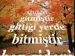 Giderim sonuna kadar