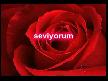 Seni seviyorum ben