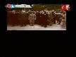 orhan seyfi orhon gidiyor resimleri ve videoları