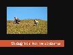 Sisdaginda kar ve sonbahar