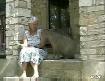 B�yle evcil hayvan olur mu?