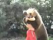 Ay� ile g�re� tutuyor 