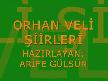 Orhan veli �iirleri 