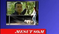 mesut som ekranlar�n yeni y�ld�z�
