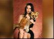 Megan Fox ve Tilkisi